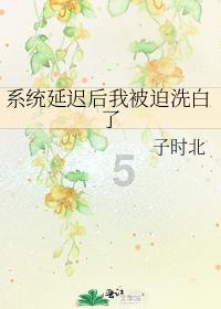 美妙夏季拼图